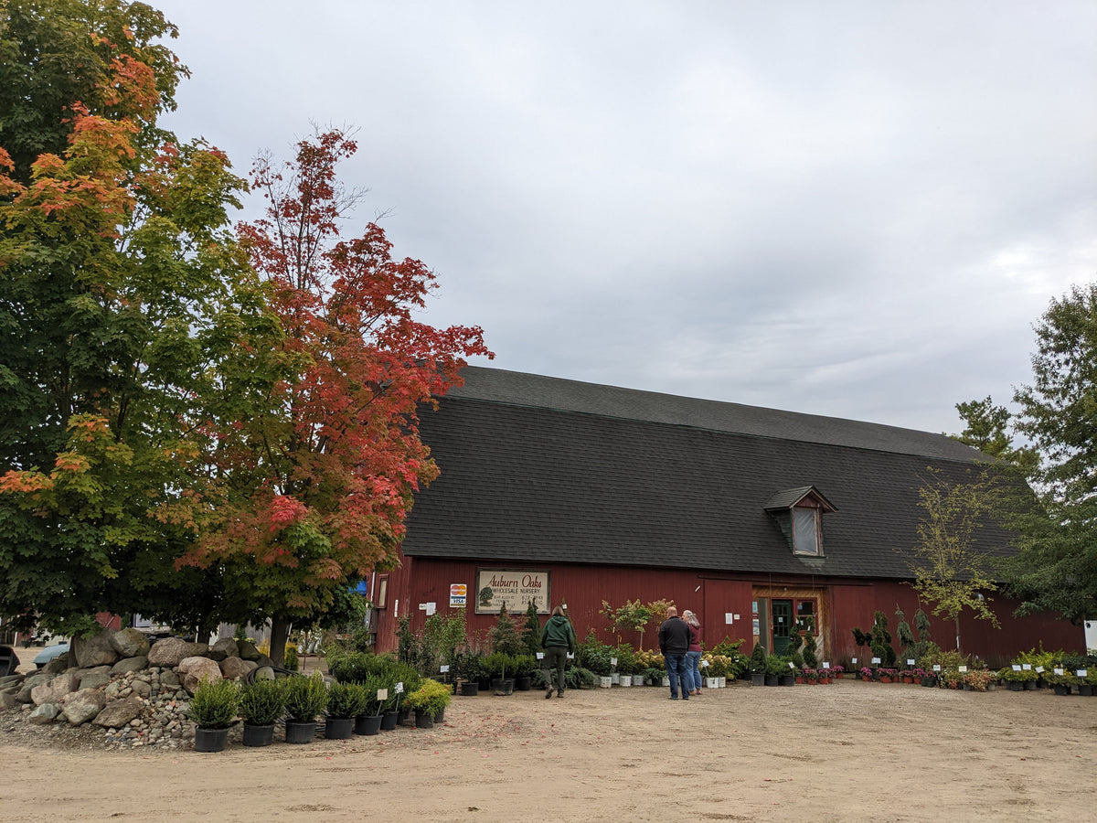 Auburn Oaks Farm