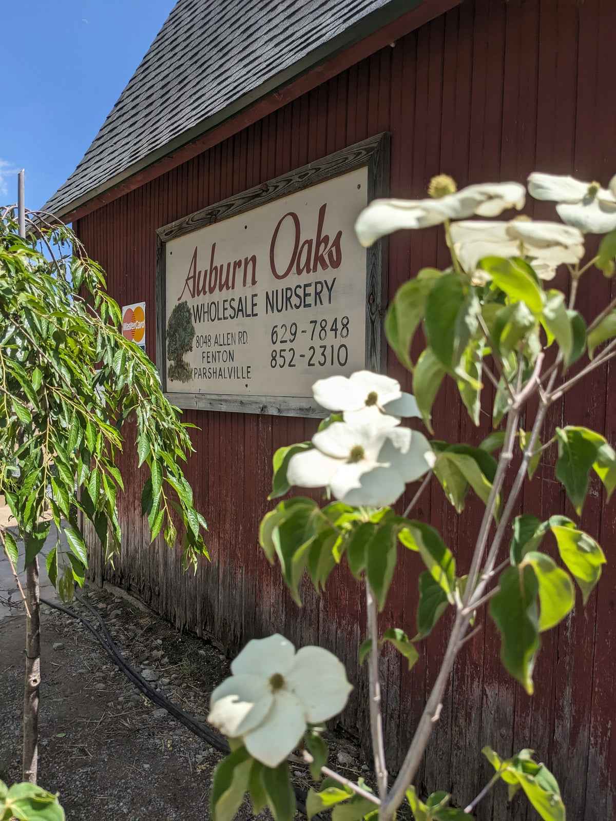 Auburn Oaks Farm